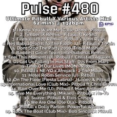 Pulse 480 - Pitbull